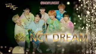 [ENGSUB] NCT Dream received award at the 2021 Korean Popular Culture and Arts Awards