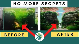 Unbelievable Rescue from Algae Overgrowth: You Won't Believe What Happened Next!