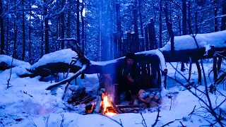 16 Days of Solo Camping - Winter Camps in The Wild Forest of 2024