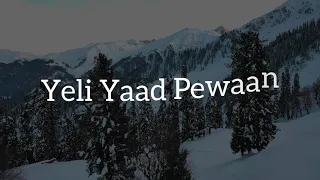 Yeli Yaad Pewaan | Masrat-Un-Nisa