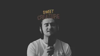 Adam Hender // Sweet Creature (Harry Styles cover)