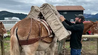 Learning packing from the best in Montana