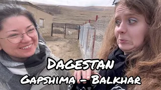 Dagestan 2024. Gapshima, Balkhar