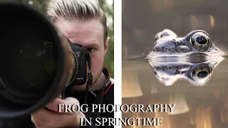 FROG PHOTOGRAPHY IN SPRINGTIME