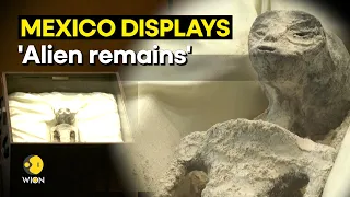 Mysterious non-human 'Alien-like' beings displayed at Mexico's Congress | WION Originals