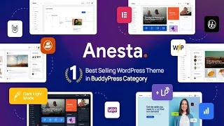 Anesta - Intranet, Extranet, Community and BuddyPress WordPress Theme Free Download