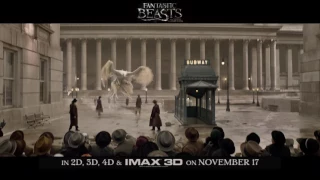 FANTASTIC BEASTS AND WHERE TO FIND THEM - :30 TV Spot #1