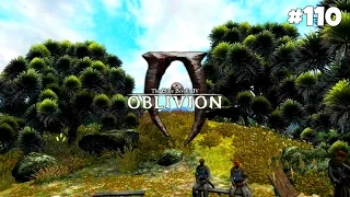 The Elder Scrolls IV: Oblivion GBRs Edition - Прохождение #110: Принц Малакат
