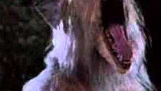 Top 10 Werewolf Movies