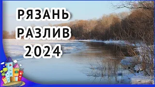 Рязань. Половодье на Оке 2024. Лесопарк в воде