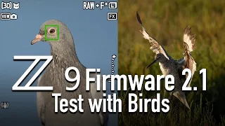 Nikon Z9 firmware 2.1 update autofocus AF test tracking birds