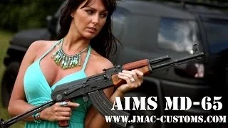 Romanian AIMS MD.65 - JMac Customs