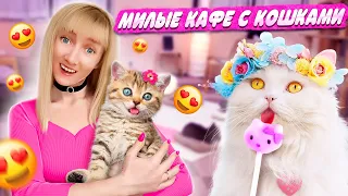 Мы посетили кошачье кафе в Токио и Барбекю кафе JoJoEn