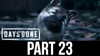 DAYS GONE Part 23 Gameplay Walkthrough - DOGGY (Full Game)