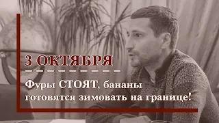 Третья часть киноэпопеи: Александр Иванов о сертификации продукции