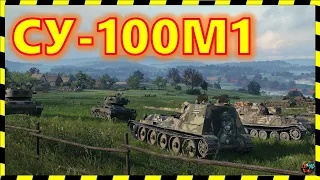 [World of Tanks] СУ-100М1 не для куста!)