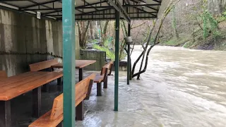 16.03.2019 Погода в Сочи в марте. Смотри на Чёрное море каждый день.