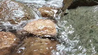 Relaxing nature water sound, Discover the Serenity of Clear River Streams in the Forest -1 Hour