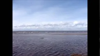 Берег Финского залива. Пляж Дубковский в Сестрорецке 2 мая 2014 г.