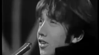 The Easybeats -  A Very Special Man