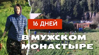 Уехала жить в мужской монастырь!