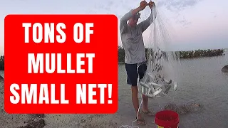 How to Catch Mullet for Bait with a SMALL Cast Net! (By Captain Cody)