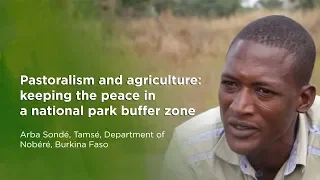 Pastoralism and agriculture: keeping the peace in a national park buffer zone