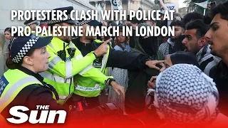 ‘Flares and bottles’ thrown as protesters clash with police at pro Palestine march in London