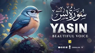 Ramadan World's most beautiful Quran recitation of Surah Yasin (Yaseen) سورة يس | Zikrullah TV