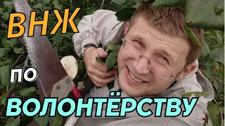 Редкое, но простое ВНЖ в Сербии. Для волонтеров