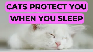 Do Cats Protect You When You Sleep