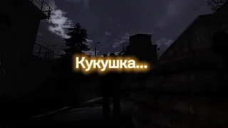 эдит S.T.A.L.K.E.R. Долг. Кукушка