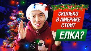 КАК В АМЕРИКЕ ОТМЕЧАЮТ РОЖДЕСТВО LinguaTrip TV