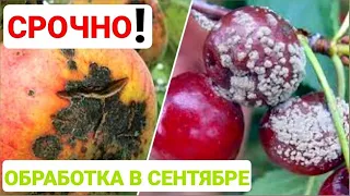 Осенняя   обработка сада от болезней и вредителей по листу !