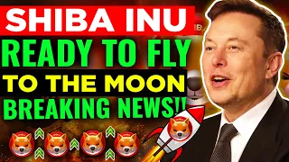 Shiba inu - ready to fly to the moon? New Shiba's burnings and Latest updates on coin. shiabinu coin