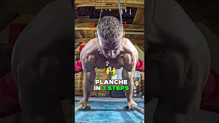 No Bullsh*t PLANCHE Tutorial!