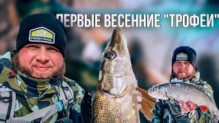 ПЕРВЫЕ ВЕСЕННИЕ "ТРОФЕИ" / ПРОБЫ Daiwa Silver Creek 62L-3