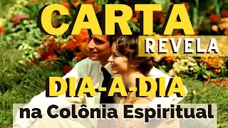 CARTA REVELA  dia-a-dia NA COLONIA ESPIRITUAL