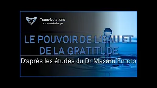 le pouvoir caché de l'eau et de la gratitude (Dr Masaru Emoto)