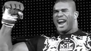 ► Alistair Overeem || THE K-1 CHAMP || ᴴᴰ