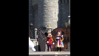 Mickey and Minnie meet Anna and Elsa | Olaf | Disney World | #shorts