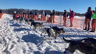Iditarod Dog Sled Race 2022 In Willow, Alaska 犬ぞりレース
