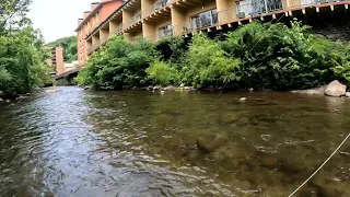 fly fishing in Gatlinburg Tennessee on the little pigeon River