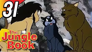 BIRTH OF A NEW BOSS | JUNGLE BOOK | Full Episode 31 | English