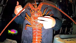 How To Catch GIANT LOBSTER (Catch Clean Cook) TIPS & TRICKS