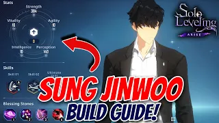 The Ultimate S Rank Sung Jinwoo Build Guide - Solo Leveling Arise