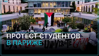 Студенты Института политических исследований начали протест в поддержку Палестины