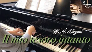 Il mio tesoro intanto, Don Ottavio, Piano accompaniment, Opera karaoke