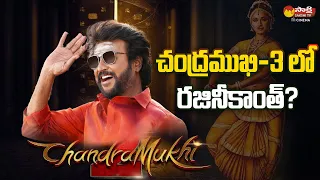 Rajinikanth In Chandramukhi 3? | Jailer Movie | Chandramukhi 2 Latest Update @SakshiTVCinema