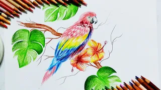  with your cameraDrawing a parrot with color pencil